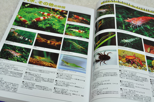 画像: 熱帯魚３２００種大図鑑 ATLAS